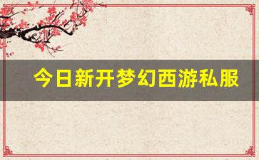 今日新开梦幻西游私服 (9)