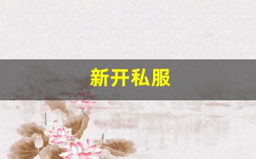 新开私服(sf999传奇新服网) (4)