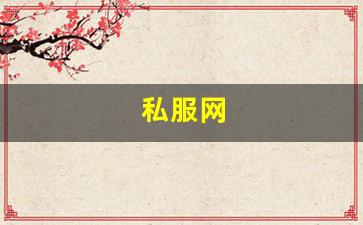 私服网(手游私sf平台) (7)
