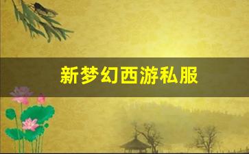 刚开一：新梦幻西游私服 (5)