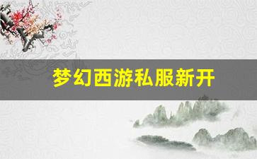 梦幻西游私服新开 (6)