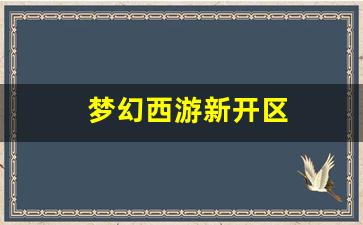 梦幻西游怀旧版sf：梦幻西游新开区 (4)