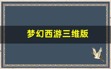梦幻西游私服：梦幻西游三维版 (7)