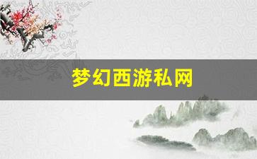 梦幻西游私网 (11)