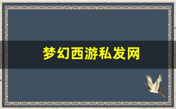 梦幻西游私发网(梦幻西游私sf发布) (4)