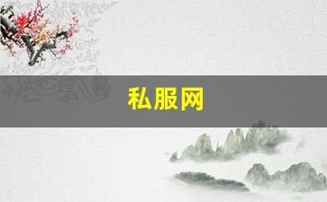 梦幻西游答题器：私服网(手游私sf平台) (21)