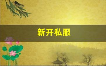 梦幻西游公益服网站：新开私服(传奇新开服网站大全) (10)