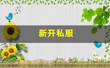 新开私服(传奇新开服网站大全) (7)