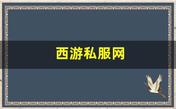 西游私服网(西游网手机游戏) (2)