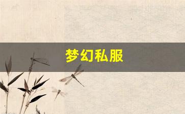 梦幻私服(梦幻手游私sf平台) (14)