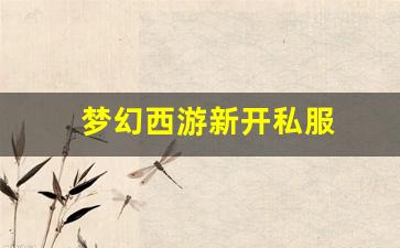 私服网站大全：梦幻西游新开私服 (14)