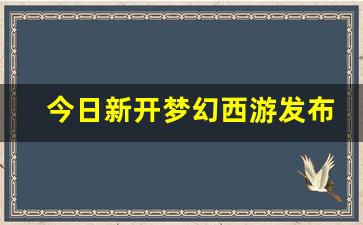 今日新开梦幻西游发布网(今日新开梦幻西游发布网站是什么) (4)
