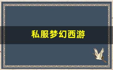 梦幻西游私服发布：私服梦幻西游 (13)