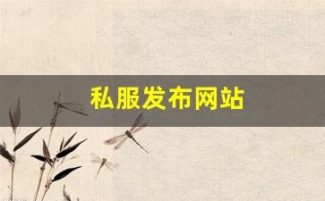 梦幻西游公益服网站：私服发布网站 (15)