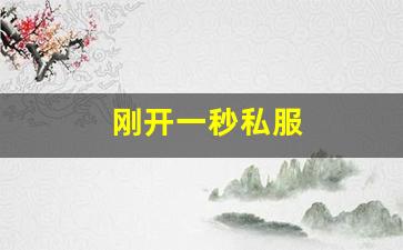 刚开一秒私服(最新刚开一秒传奇sf) (2)