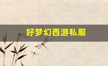 好梦幻西游私服(梦幻西游手游) (7)