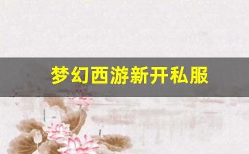 梦幻西游新开私服 (20)