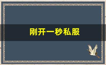 梦幻西游私服发布：刚开一秒私服(刚开一秒单职业sf) (3)