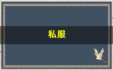今天新开sf：私服(荒野乱斗私人服破解版下载) (2)