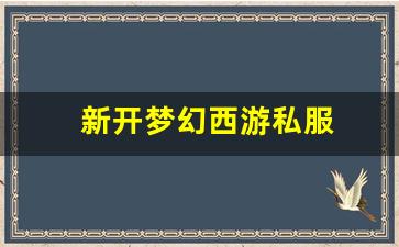 新开梦幻西游私服(梦幻西游手游吧) (17)